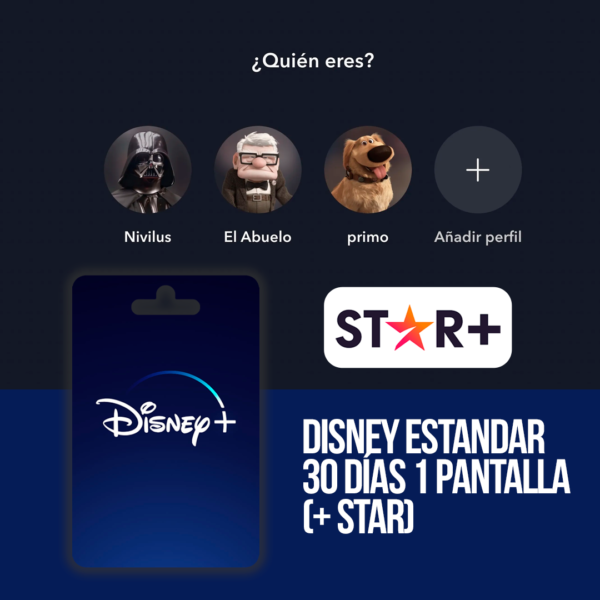 Disney  Estandar (Perfil)